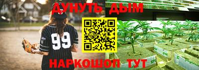 соль курить ск Гатчина