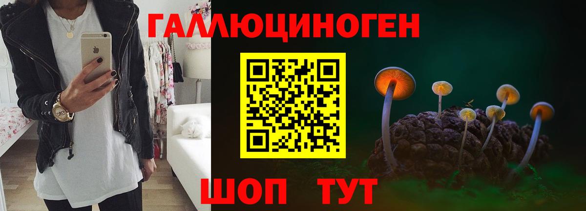 Мурино  Псилоцибиновые грибы Psilocybe  Вход с VPN 